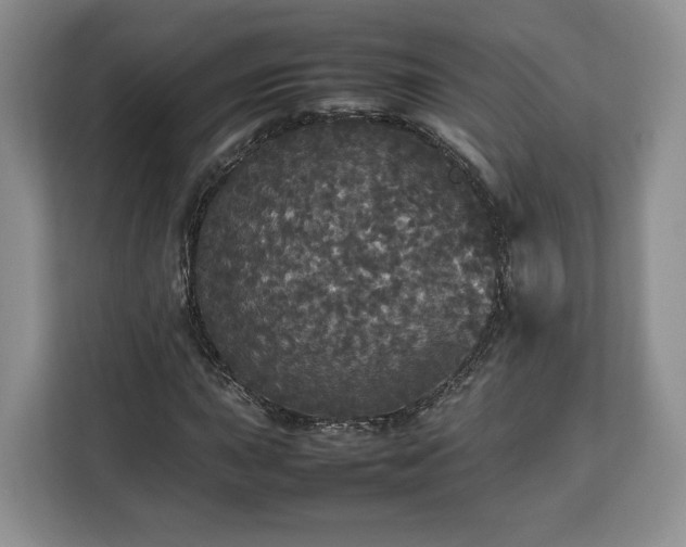 X0000112831015200908281527