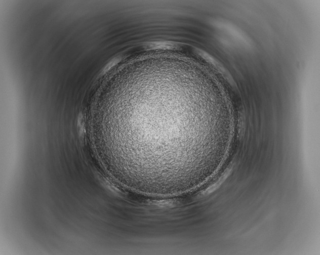 X0000112831017200908281527