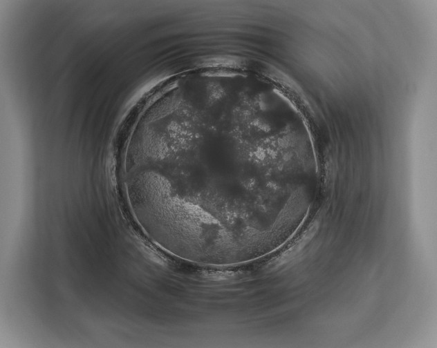 X0000112831019200908281527