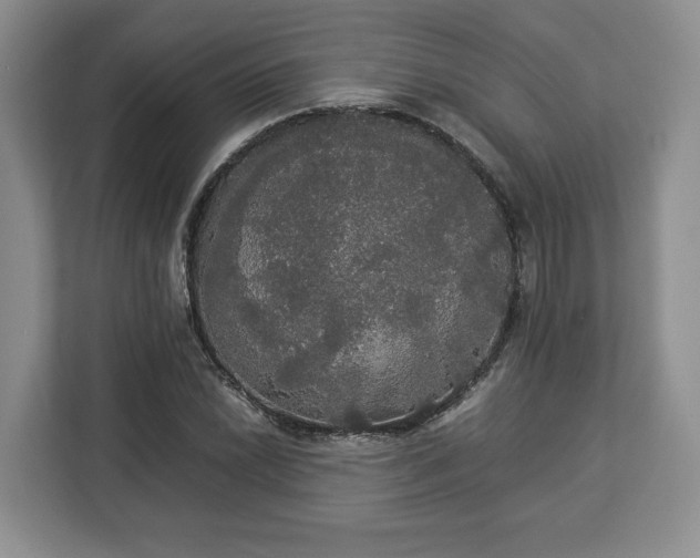 X0000112831022200908281527