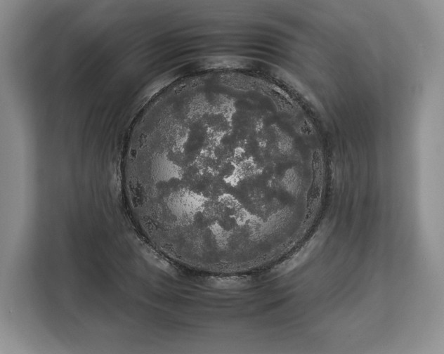 X0000112831025200908281527