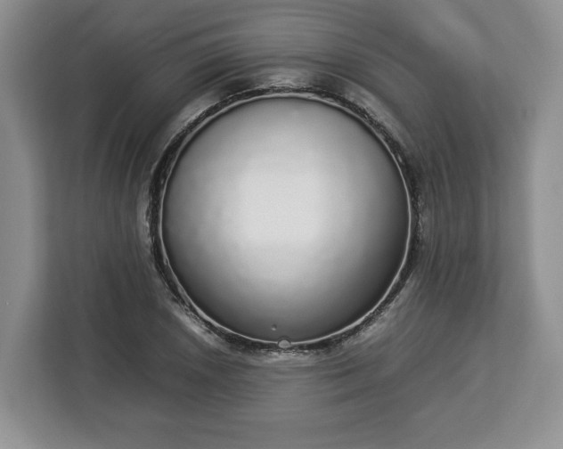 X0000112831026200908281527