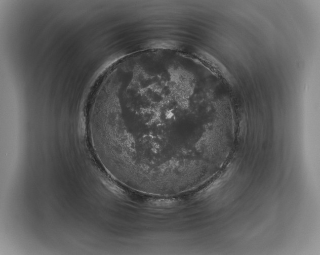 X0000112831027200908281527