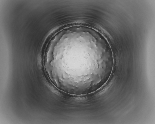 X0000112831029200908281527