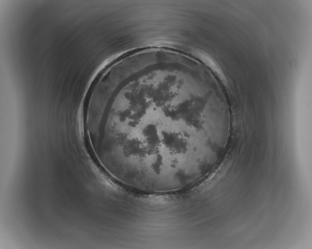 X0000112831032200908281527