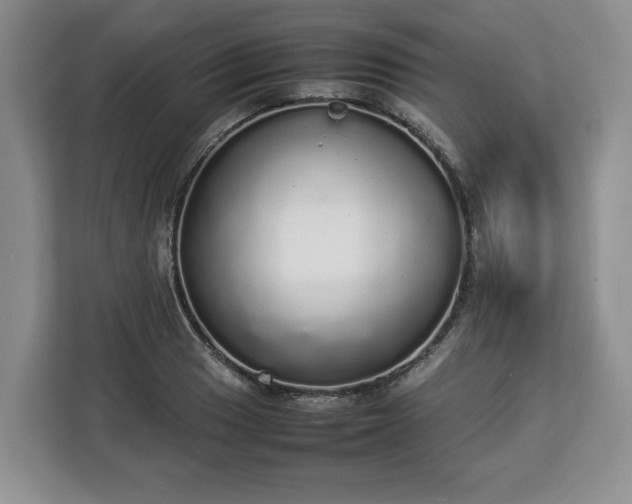 X0000112831033200908281527