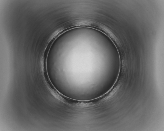 X0000112831034200908281527