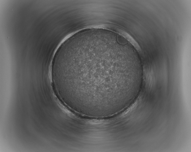 X0000112831036200908281527