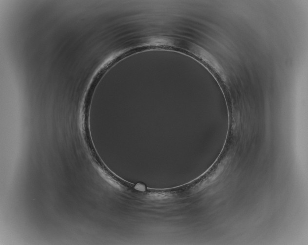 X0000112831037200908281527