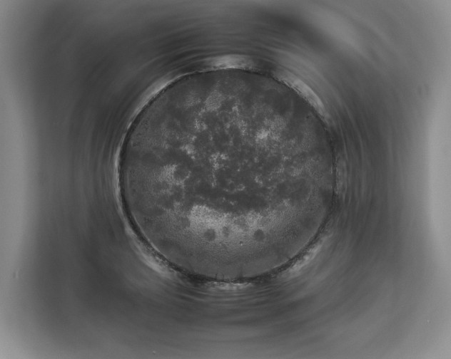 X0000112831039200908281527