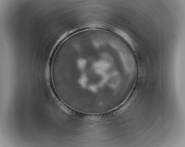 X0000112831040200908281527