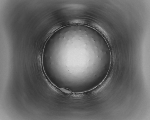 X0000112831041200908281527