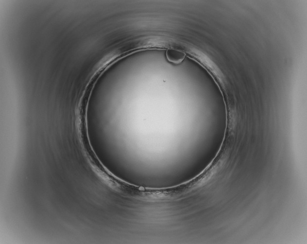 X0000112831042200908281527