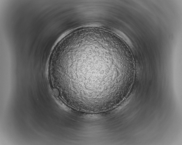 X0000112831044200908281528