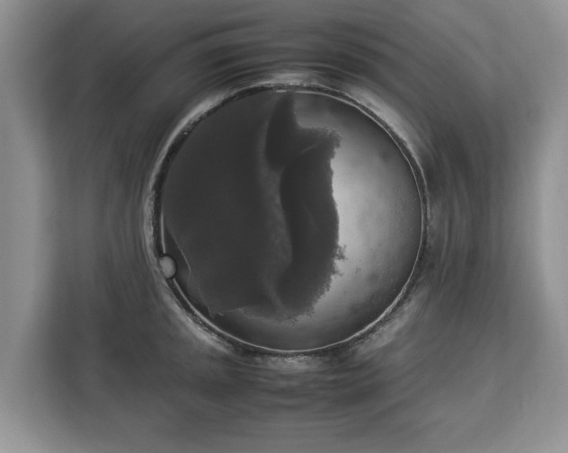 X0000112831045200908281528