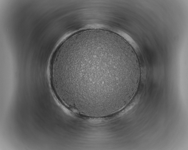 X0000112831046200908281528