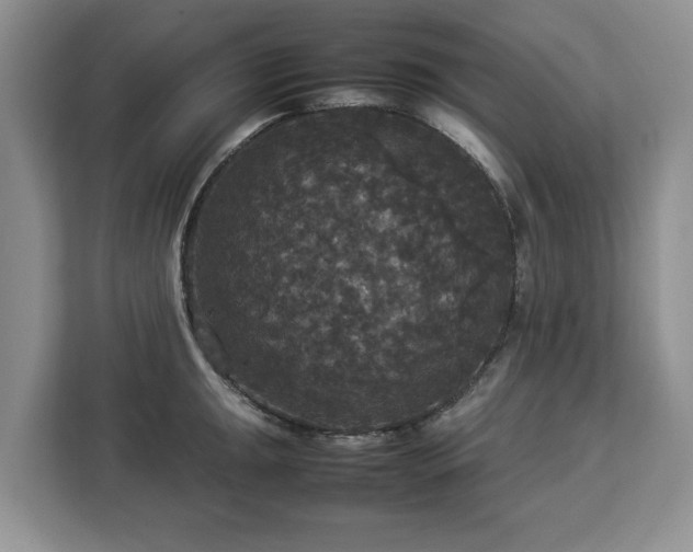 X0000112831047200908281528