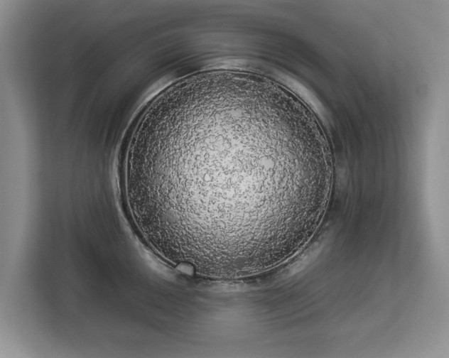 X0000112831050200908281528