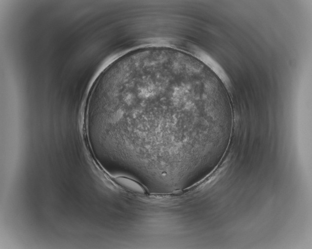 X0000112831052200908281528