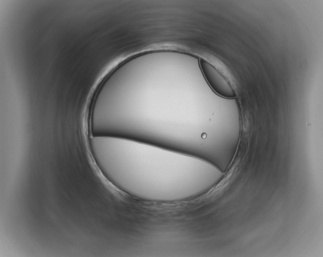 X0000112831054200908281528