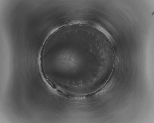 X0000112831055200908281528