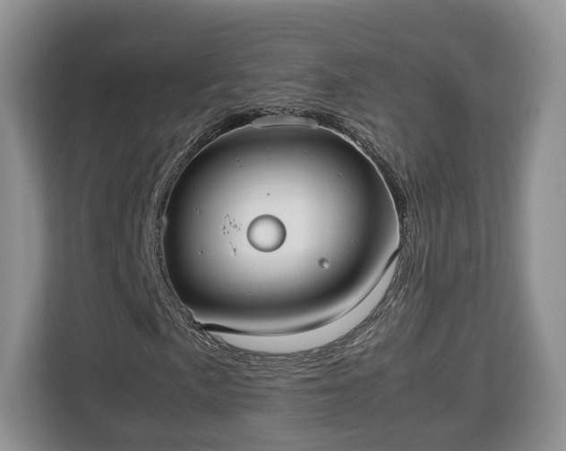 X0000112831057200908281527