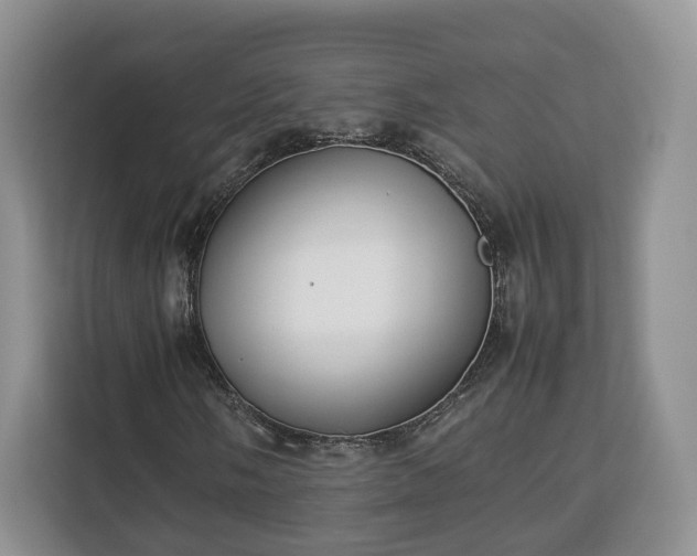 X0000112831058200908281527