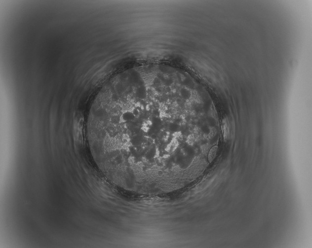 X0000112831059200908281527