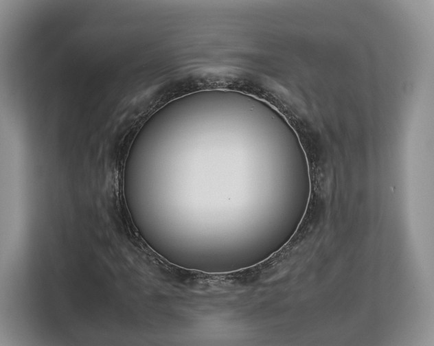 X0000112831061200908281527