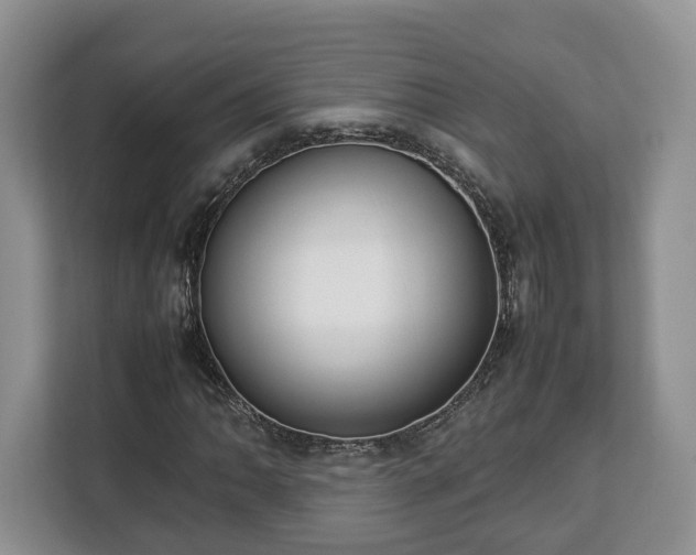 X0000112831062200908281527