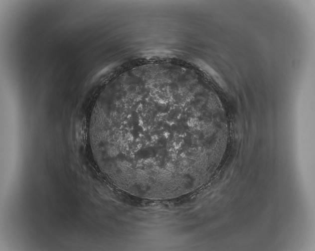 X0000112831063200908281527