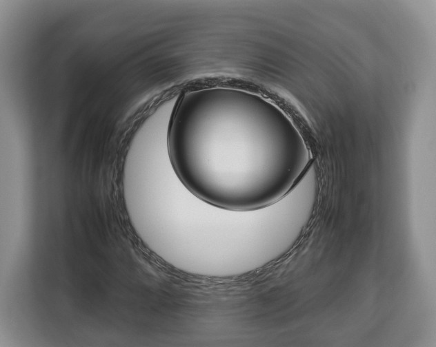 X0000112831064200908281527