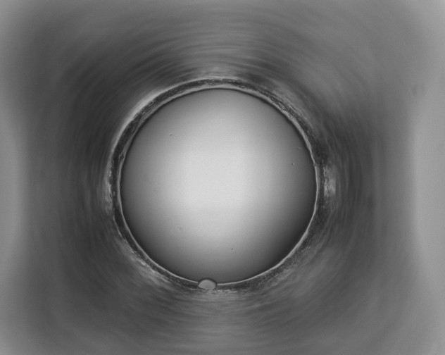 X0000112831068200908281527