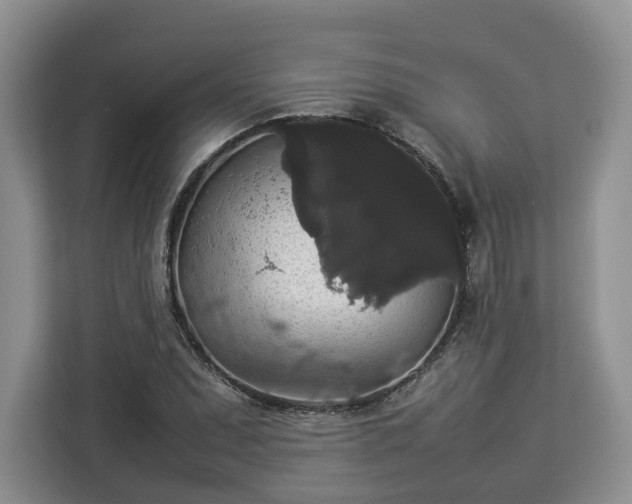 X0000112831071200908281527