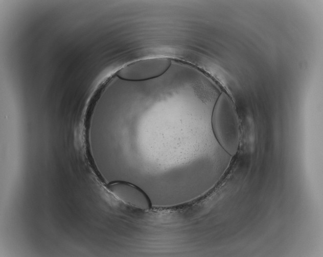 X0000112831072200908281527