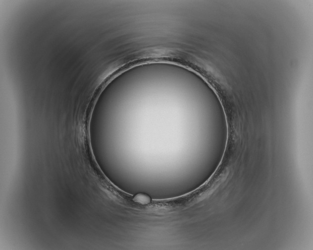 X0000112831073200908281527