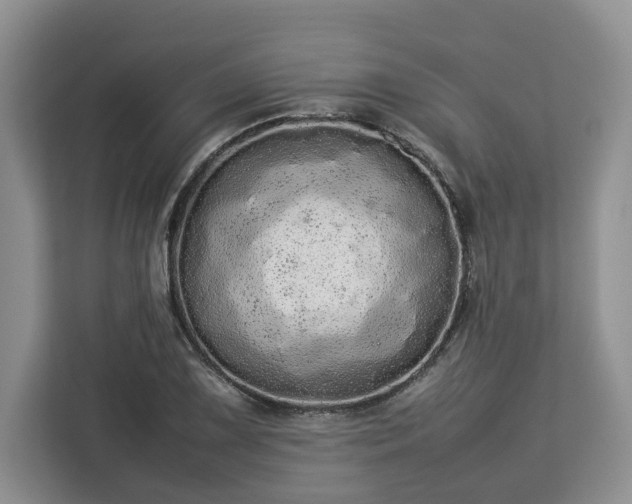 X0000112831075200908281527