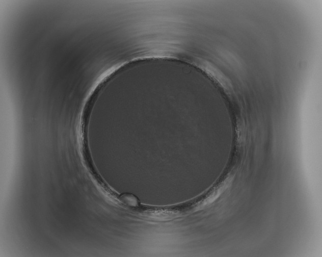 X0000112831077200908281527