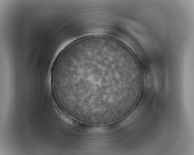 X0000112831078200908281527