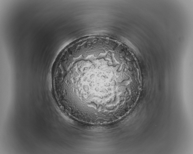 X0000112831079200908281527