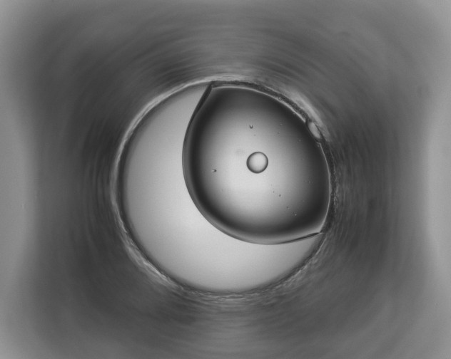 X0000112831080200908281527