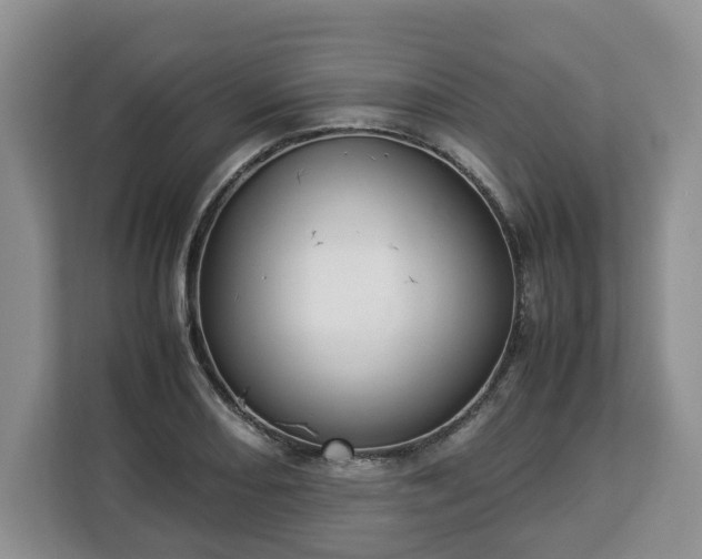 X0000112831082200908281527