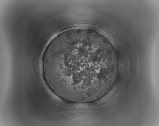 X0000112831083200908281527