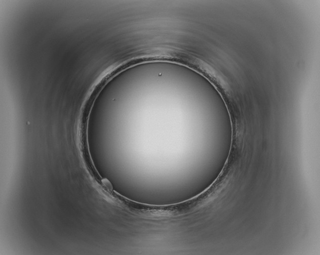 X0000112831085200908281527