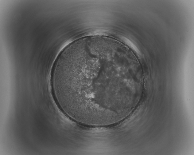 X0000112831087200908281527