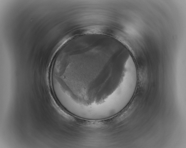 X0000112831090200908281527