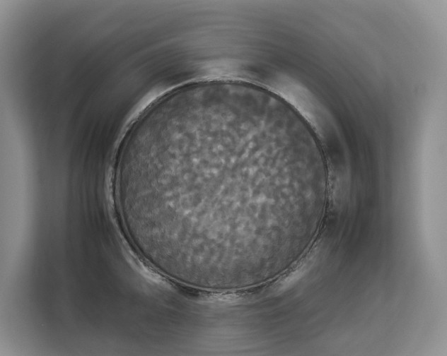 X0000112831094200908281527