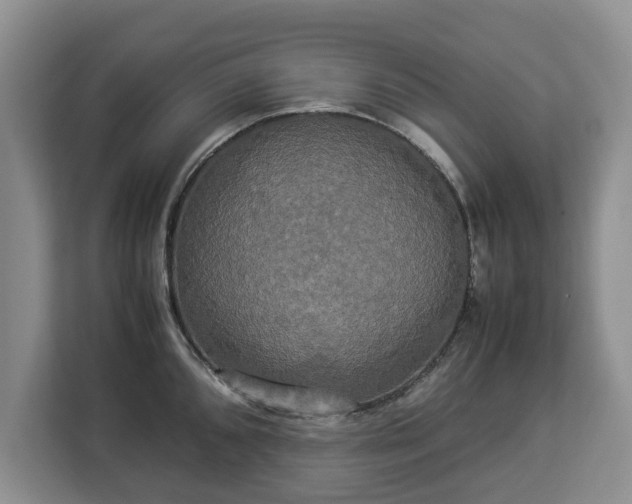 X0000112831096200908281527