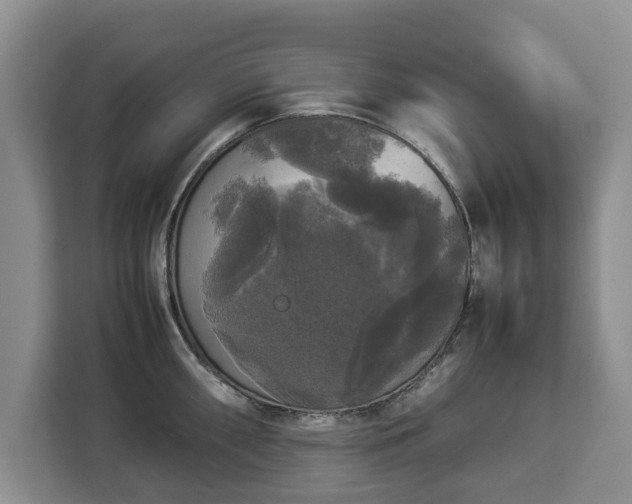 X0000112831098200908281526