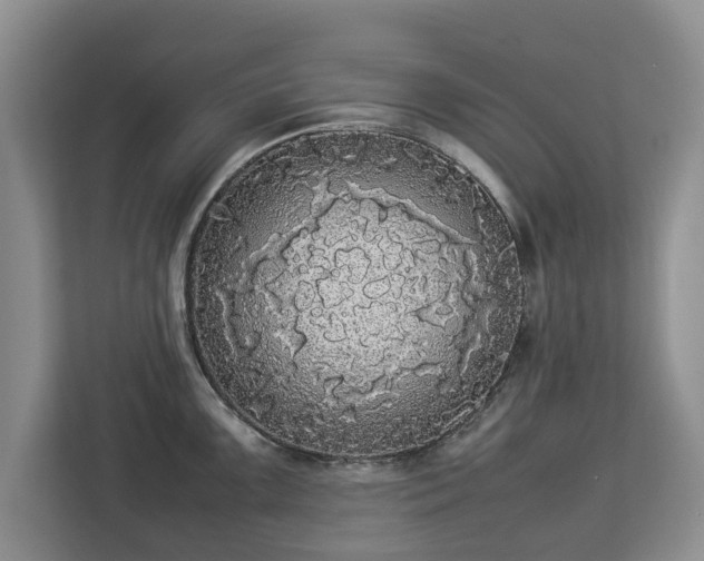 X0000112831099200908281526